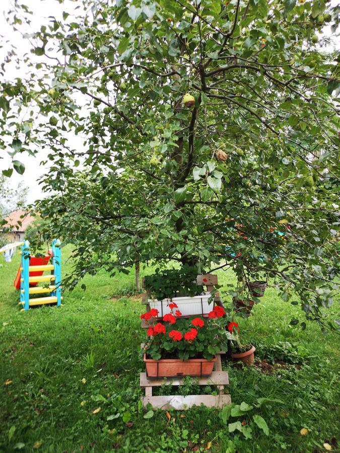 Family Apartment With Garden Sarajevo Exterior photo