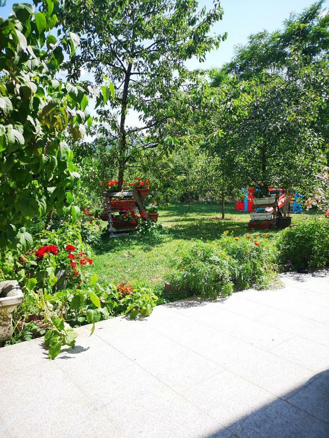 Family Apartment With Garden Sarajevo Exterior photo
